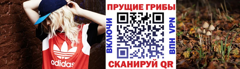 Псилоцибиновые грибы мухоморы  Купить  Когалым 